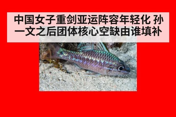 中国女子重剑亚运阵容年轻化 孙一文之后团体核心空缺由谁填补